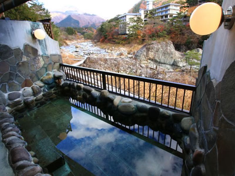 渓流の宿　緑水